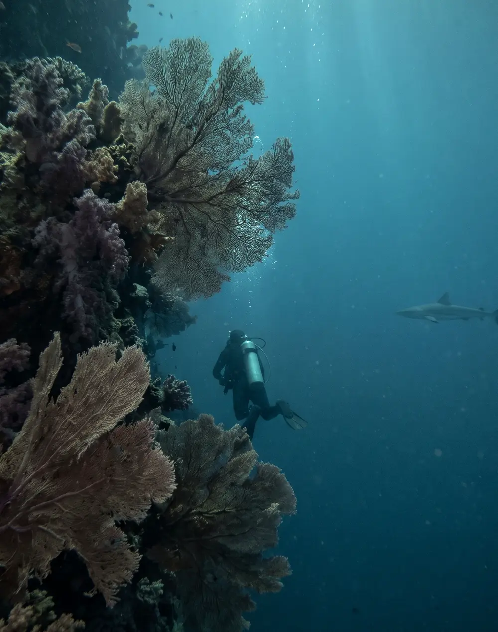 Brothers Islands, July 2024