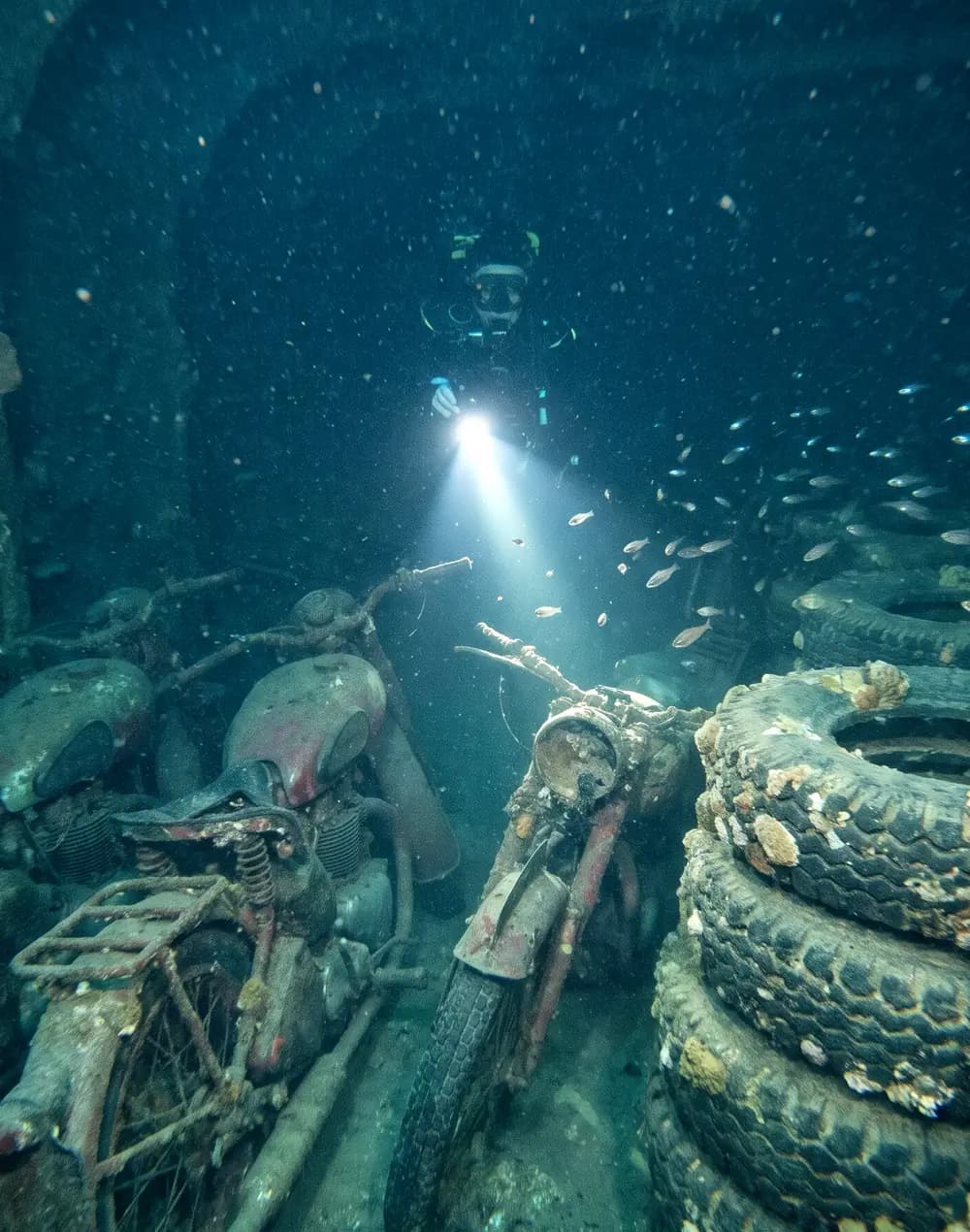 SS Thistlegorm, September 2024