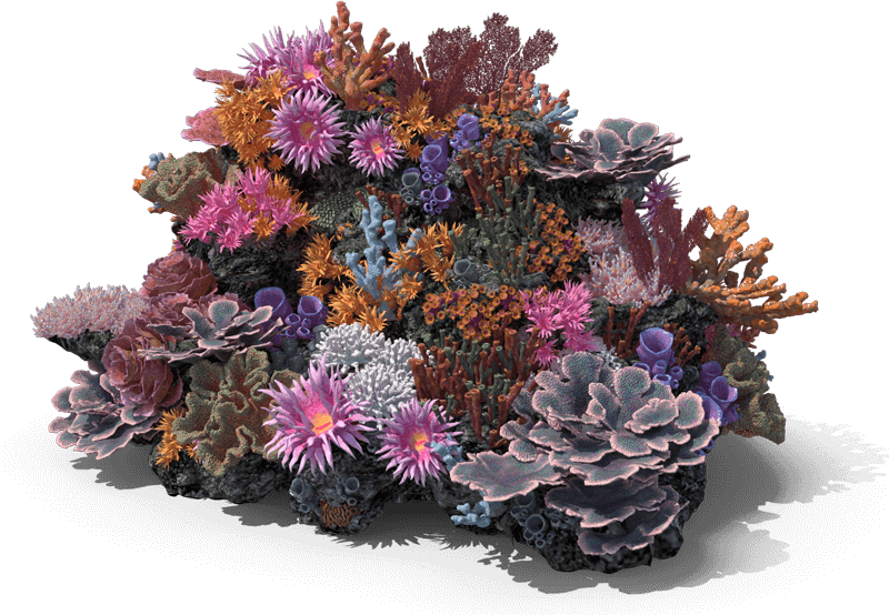 Browse 100+ dive sites