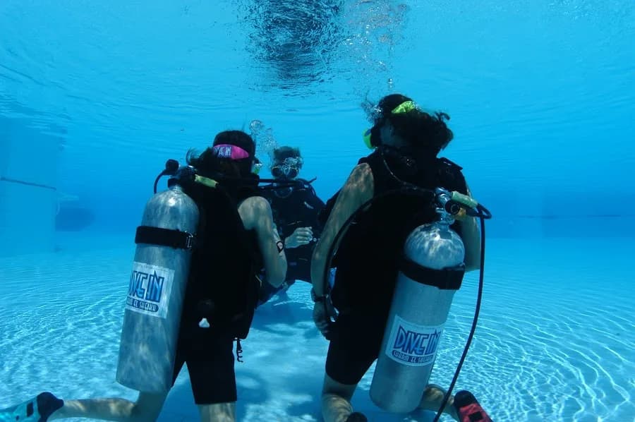 Dive In Sharm - Cover Photo