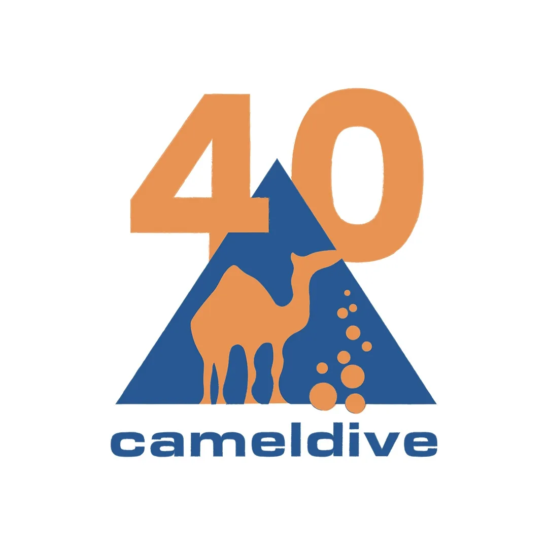 Camel Dive Club - Cover Photo