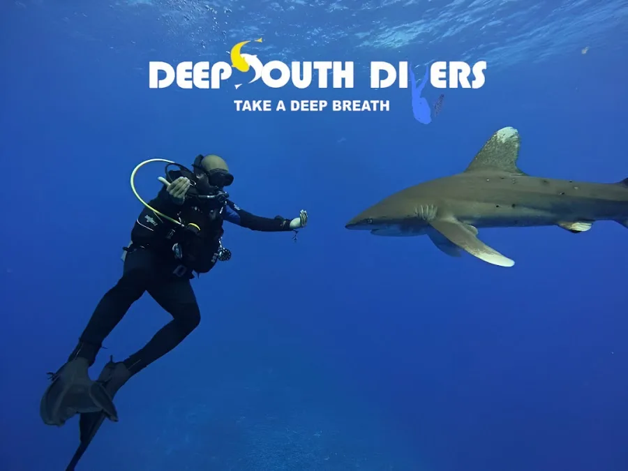 Marsa Diving Center - Cover Photo