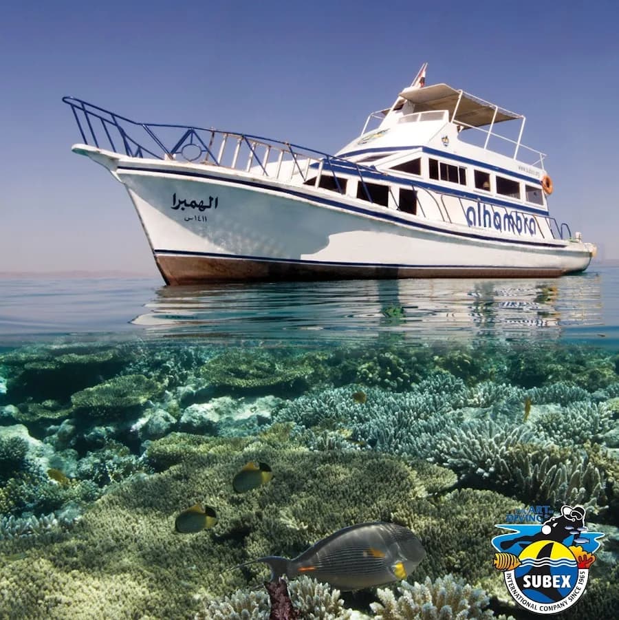 Subex Diving Center - Cover Photo