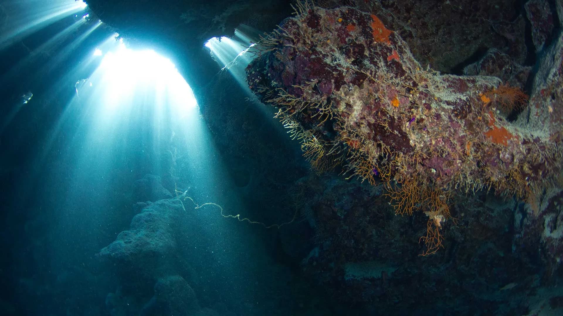 Red Sea Diving College - Cover Photo