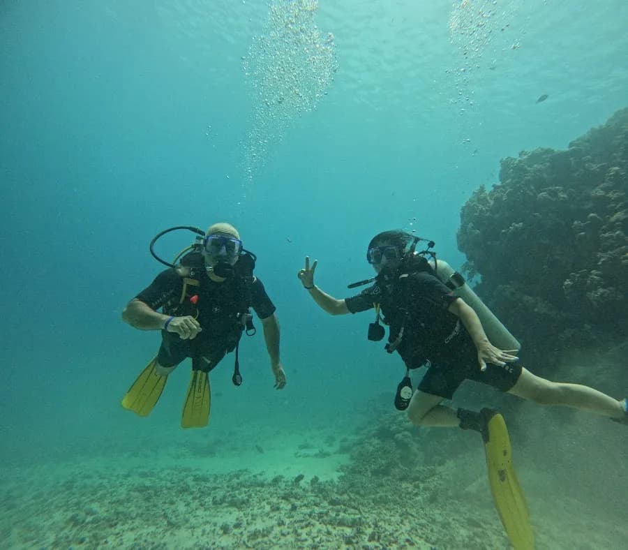 Egypt Sea Explorer - Cover Photo