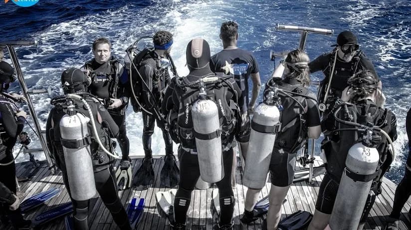 Diving Star - Cover Photo