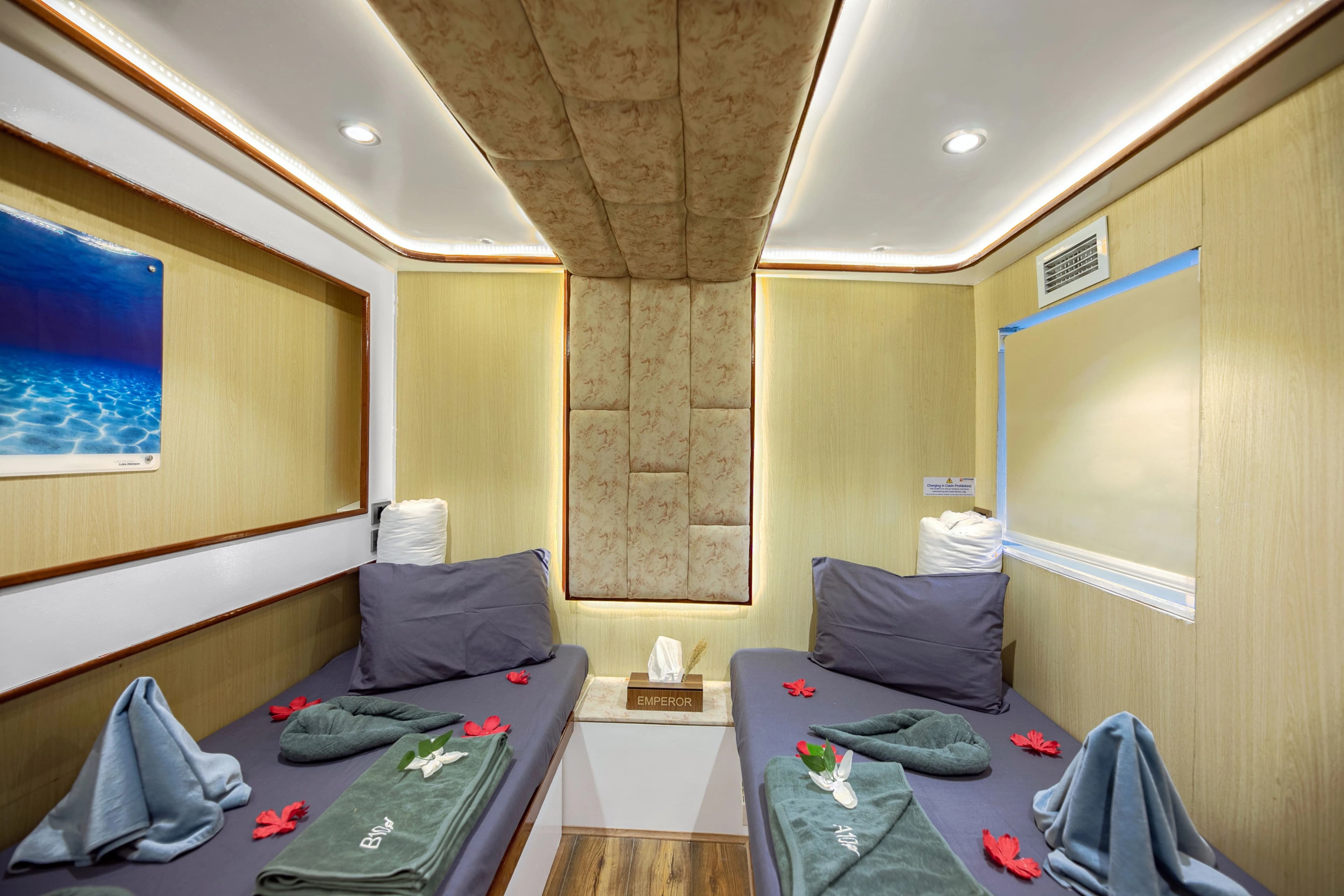 Upper Deck Twin Cabin