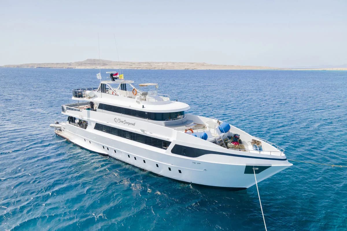 SS Serena Dreams