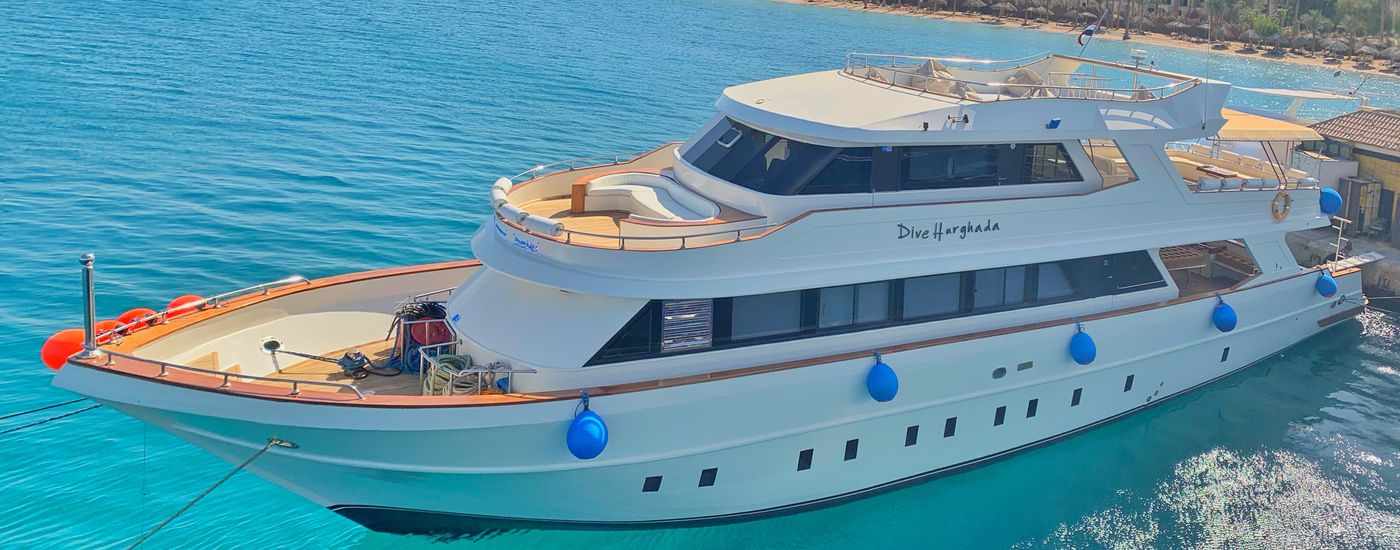 Dive Hurghada - Cover Photo